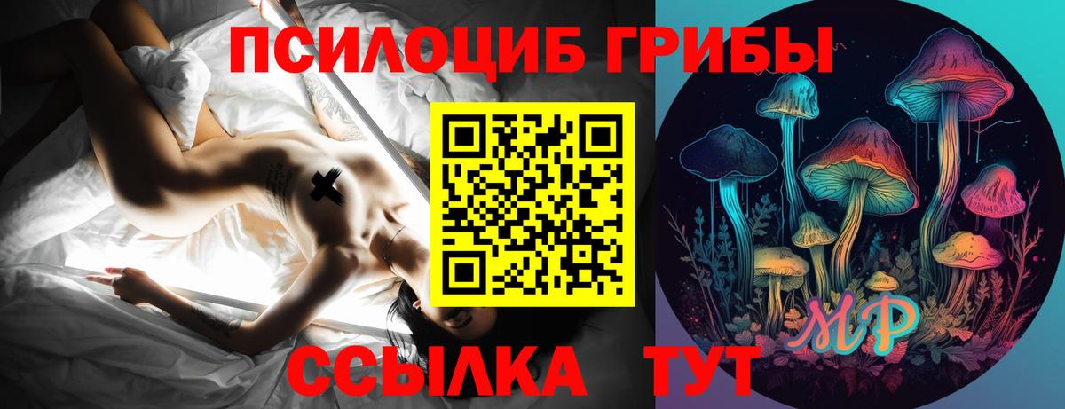 Галлюциногенные грибы мицелий Муравленко